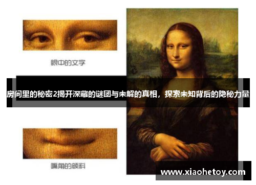 房间里的秘密2揭开深藏的谜团与未解的真相，探索未知背后的隐秘力量